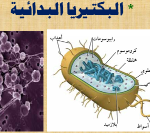 احياء 1(اولي ثانوي)